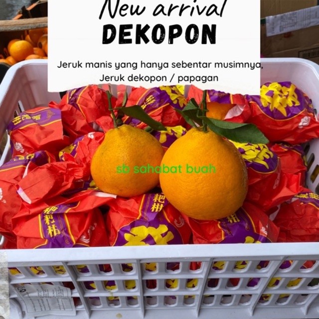 

UD BUAH 3 SAUDARA BUAH JERUK DEKOPON / PAPAGAN MANIS 500gr