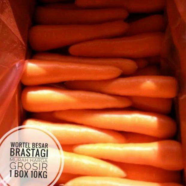 UD BUAH 3 SMAUDARA wortel besar brastagi kualitas export 1 dus 10kg