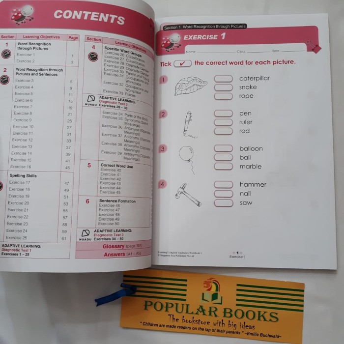 

Learning English Vocabulary - Primary 1