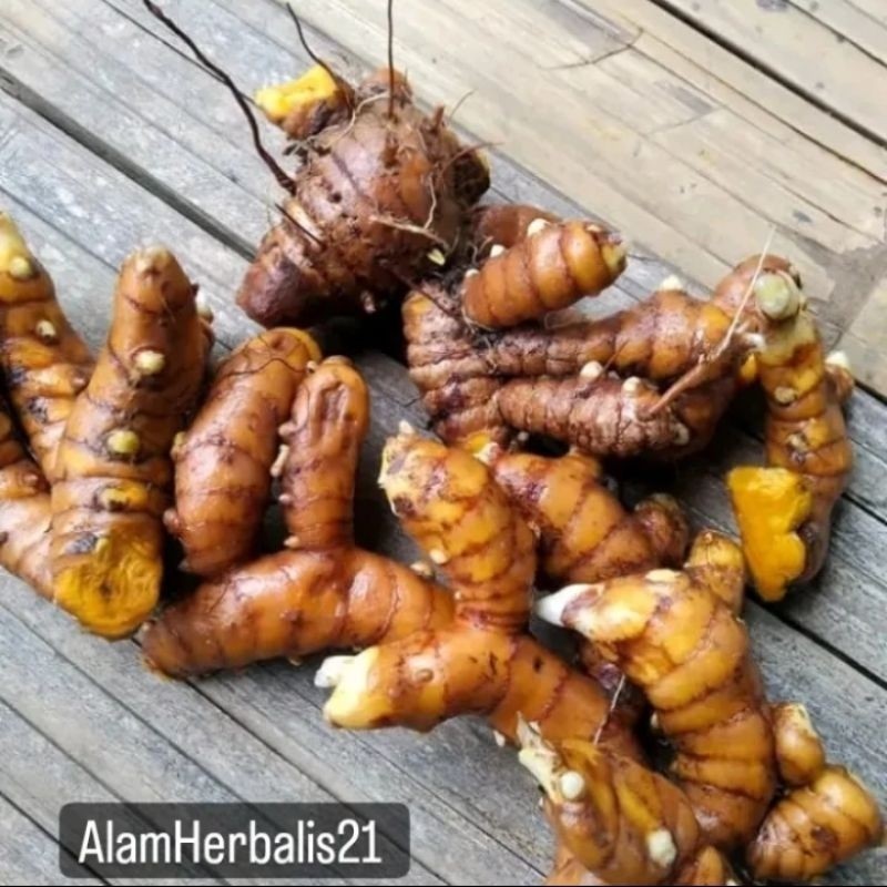 

Temulawak Herbal, Koneng Gede Segar 1kg . ,
