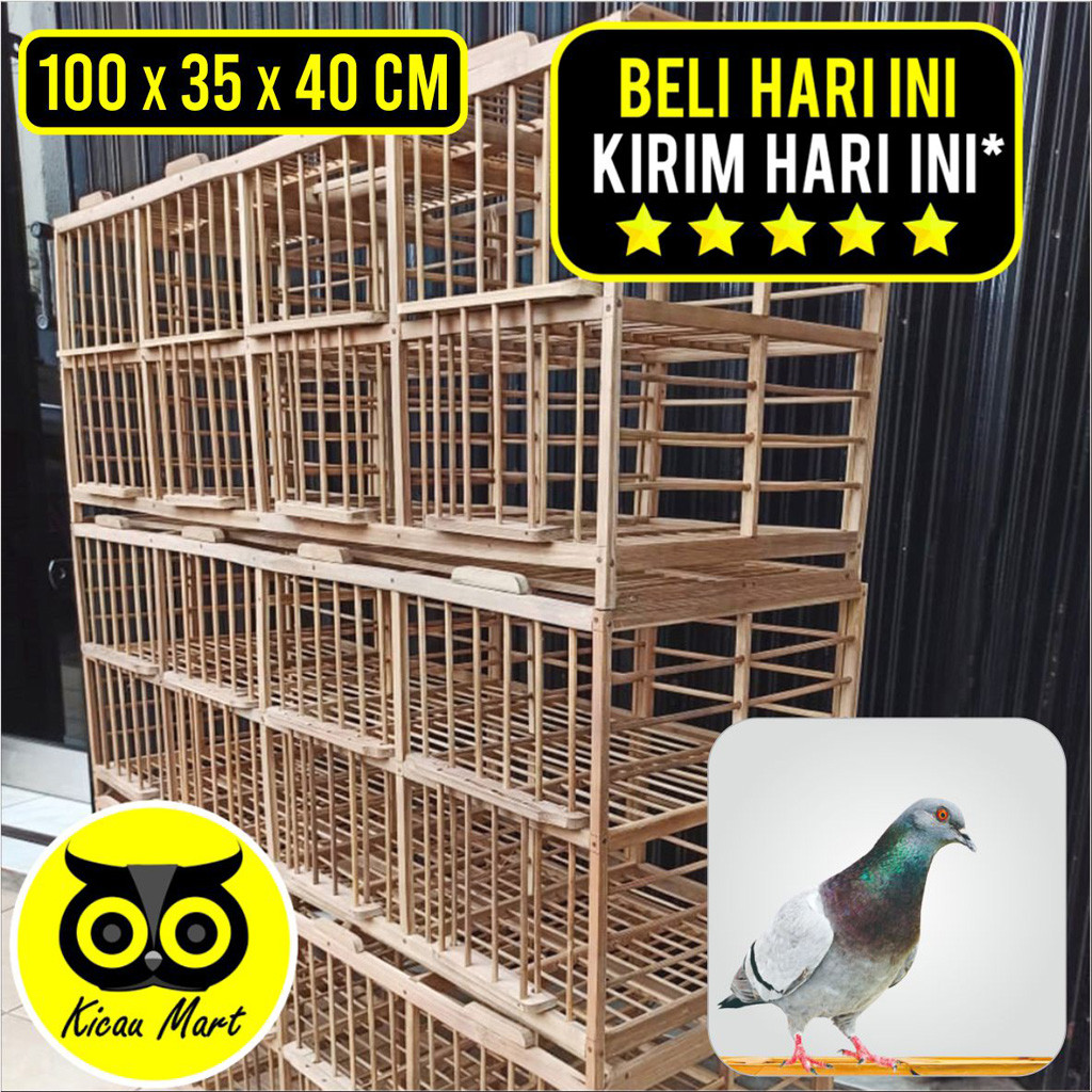 KICAU MART DONGDANG MERPATI 4 PASANG 8 PINTU KANDANG MERPATI KURUNGAN BURUNG MERPATI DARA KANDANG KA