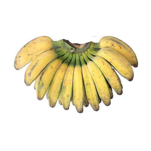 

Pisang Kepok Ukuran Sedang 1 Sisir | Sayur Segar Medan