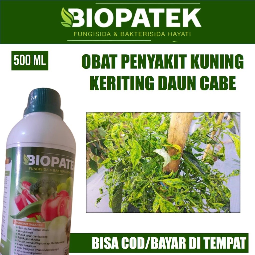 Fungsida Obat Keriting daun Cabe BIOPATEK Bakterisida Hayati Organik Pembasmi Daun Kuning Keriting C