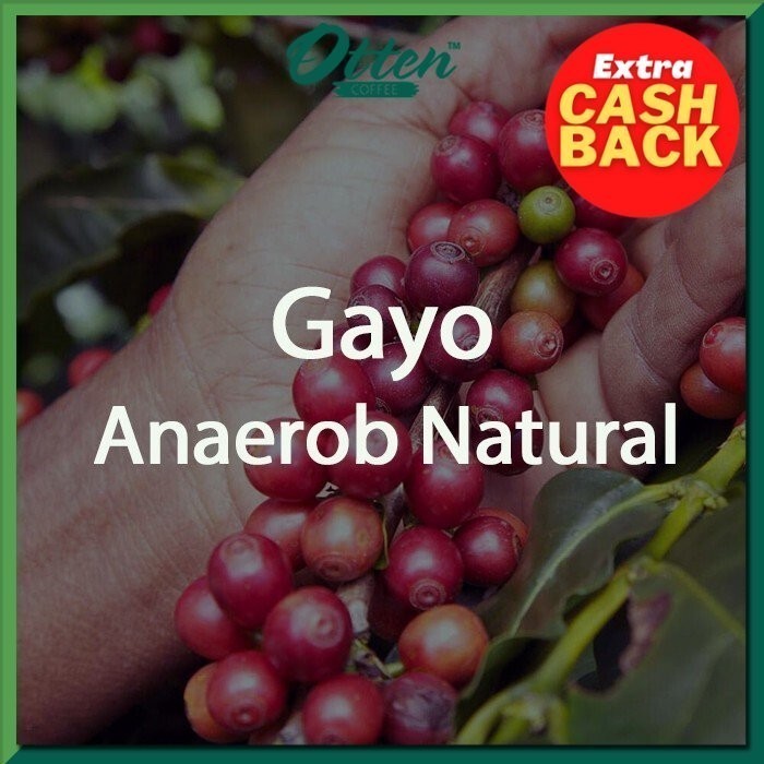 

Green Bean Aceh Gayo Anaerob Natural - 1 Kg