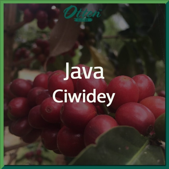 

Green Bean Arabica Java Ciwidey - 1 Kg