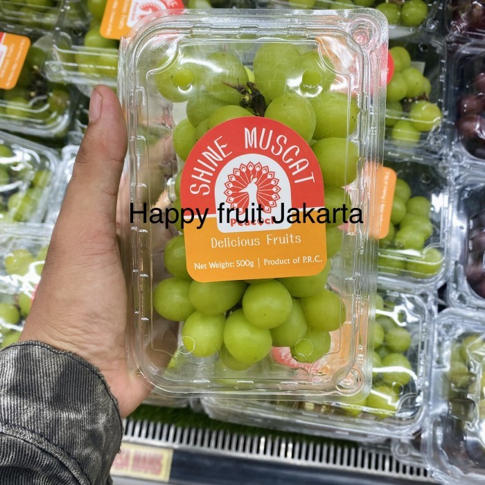 

anggur shine muscat 500 gr | buah anggur hijau shine muscat fresh pack