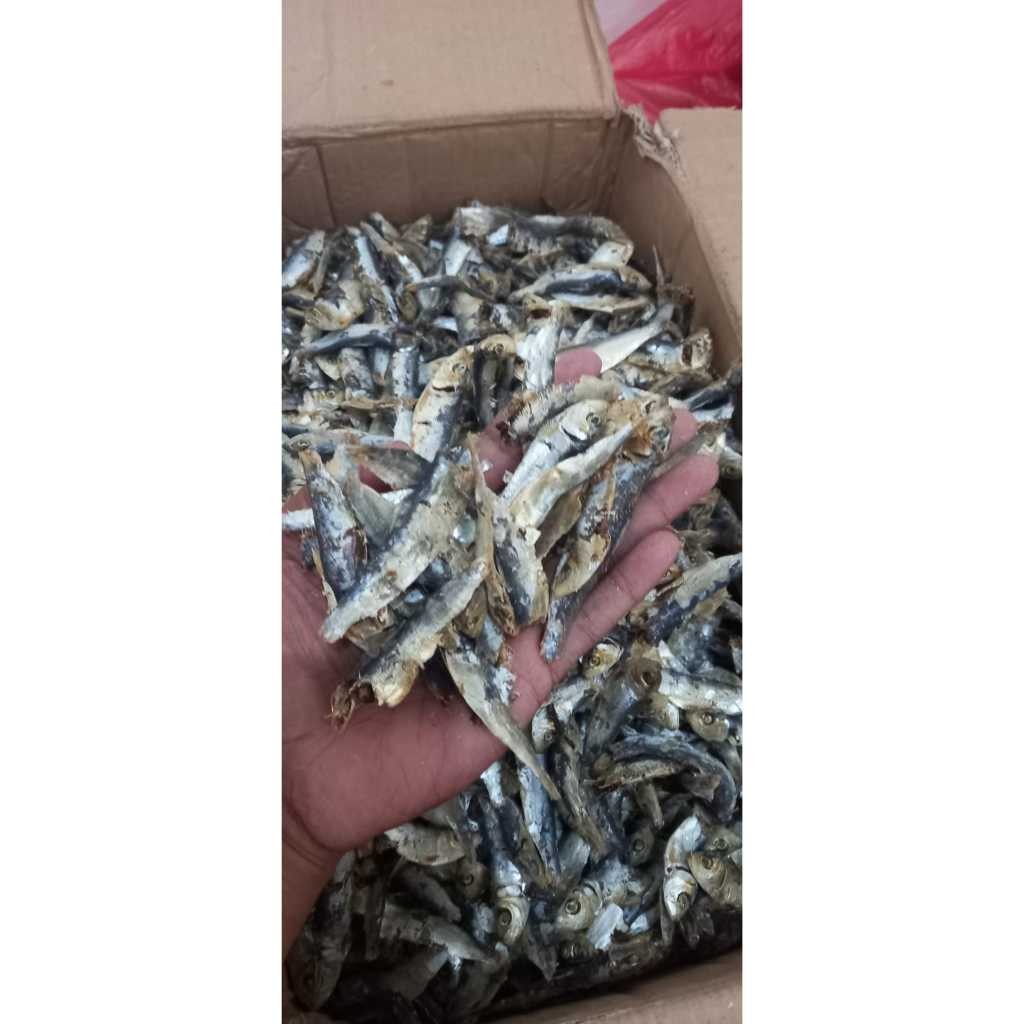 

TERMURAH COD ikan asin ninis rebus tanjan 1 kg super murah