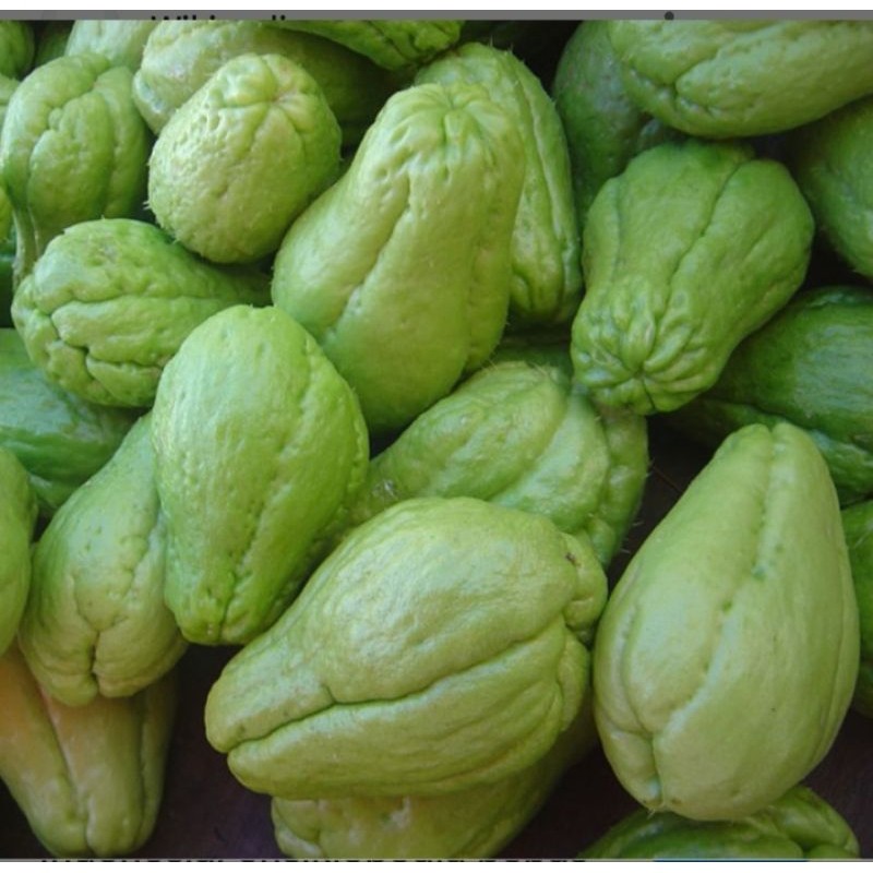 

labu Siam / Jepan cocok untuk di sayur berbagi macam 1kg