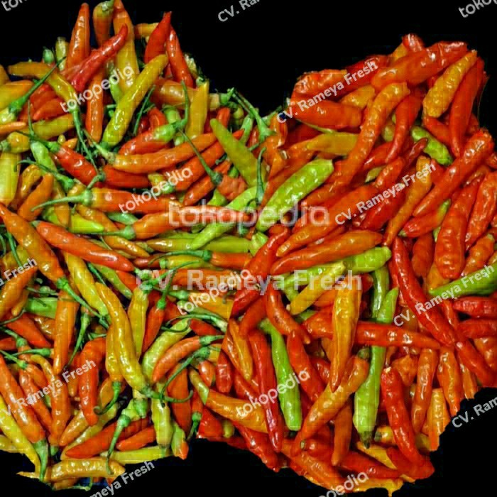 

Cabe / Cabai Rawit Merah 1kg 1 kg Muntilan Pedas Termurah - pakai tangkai