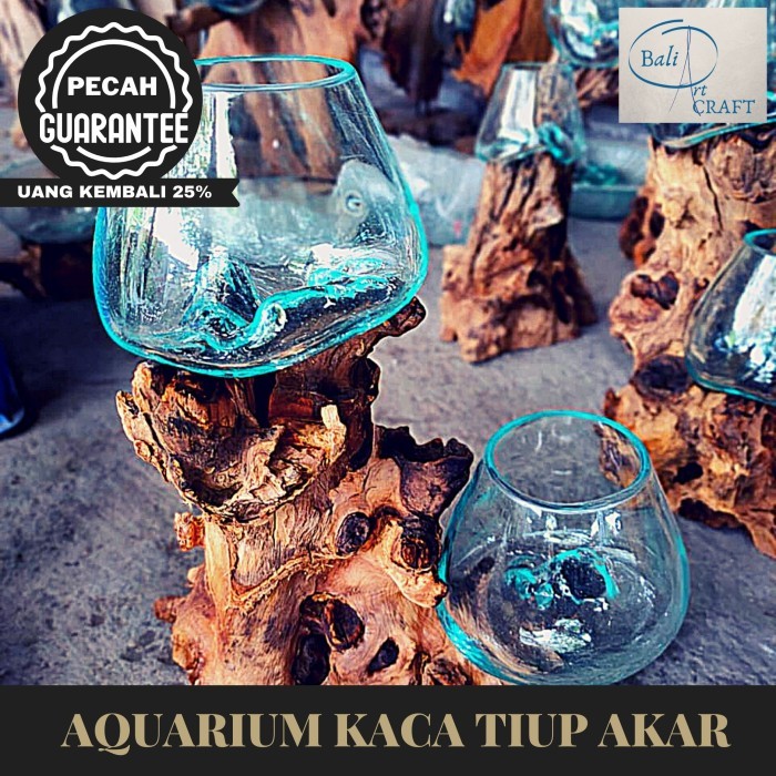 AQUARIUM IKAN CUPANG DOUBLE DUA TINGKAT XL KACA TIUP KAYU AKAR