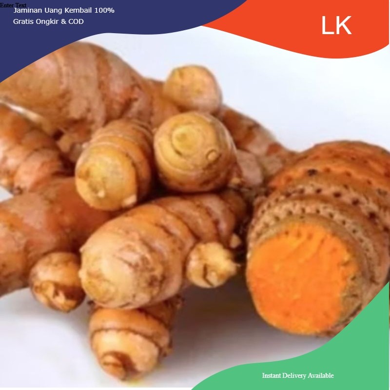 

TEMULAWAK KUALITAS TERBAIK READY 1KG