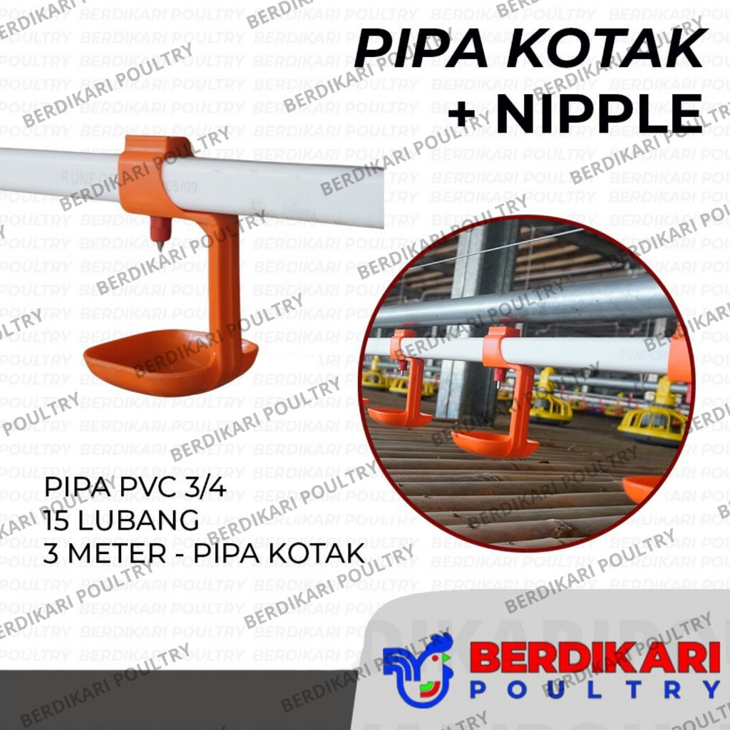 MB17R Pipa Kotak Plus Nipple 3/4 15 Lubang - Pipa/Paralon Kotak Nipple/Nipel/Napel/Nipple/Niple Ayam