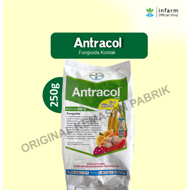 Antracol Fungisida 250 gram Fungisida Sistemik Zinc Obat Anti Busuk Jamur Tanaman Kemasan Asli Pabri