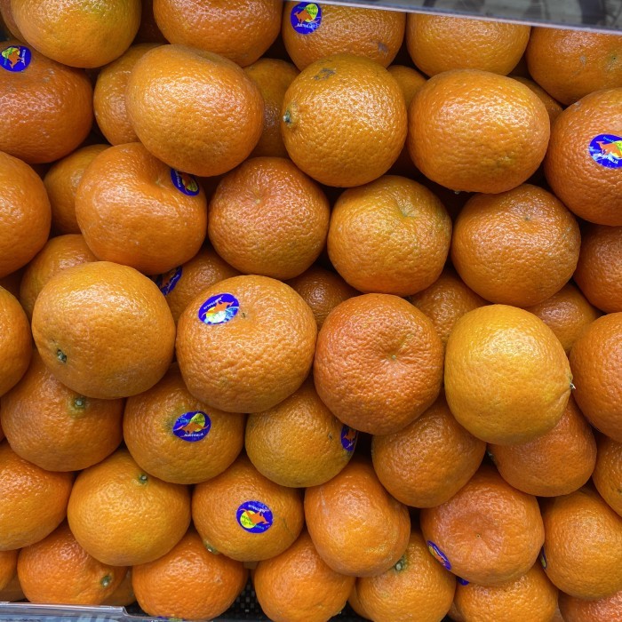 

Jeruk mandarin frimong australia fresh 1 kg