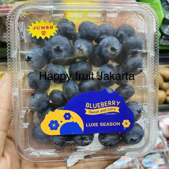 

Blueberry jumbo manis | buah Blueberry sweet end juicy 125 gr