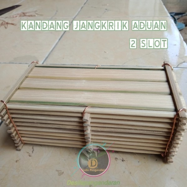 kandang jangkrik aduan bambu 2 slot / kandang jangkrik adu - masteran
