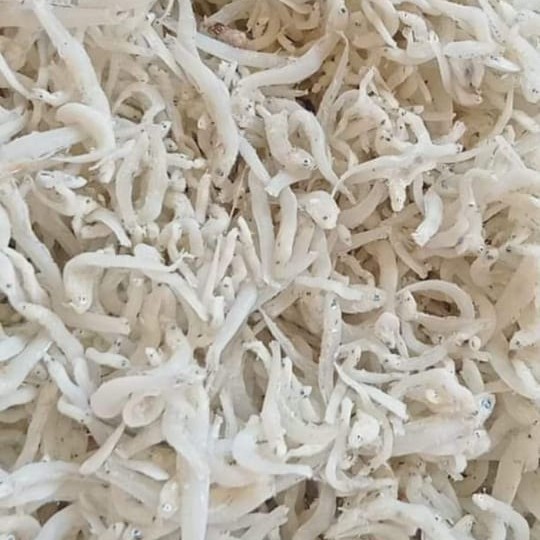 

teri nasi medan kecil 250 gram