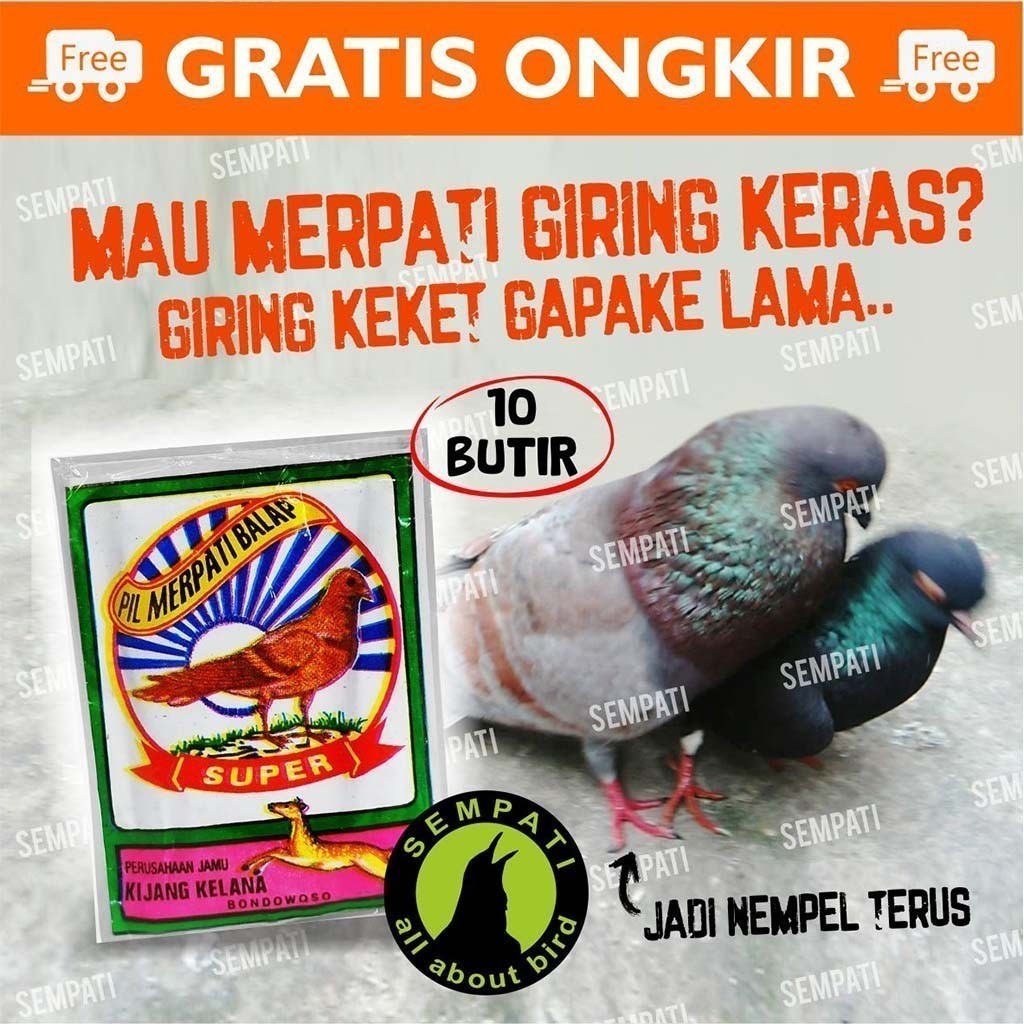 SEMPATI KIJANG KELANA SUPER Pil Jamu Merpati Giring Keket Jamu Burung Merpati Balap Dara Pos Vitamin