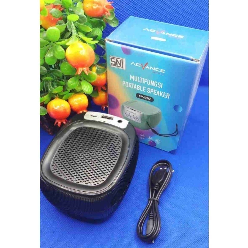 CUCI GUDANG  SPEAKER PORTABLE ADVANCE TP-222