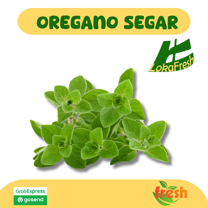 

Daun Oregano Segar 100 gram