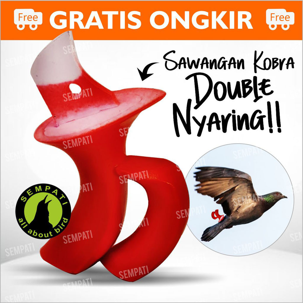 SEMPATI SAWANGAN KOBRA GANDENG SAWANGAN MERPATI HATONG HOTANG PLUIT PELUIT SEMPRITAN LATIH BURUNG ME