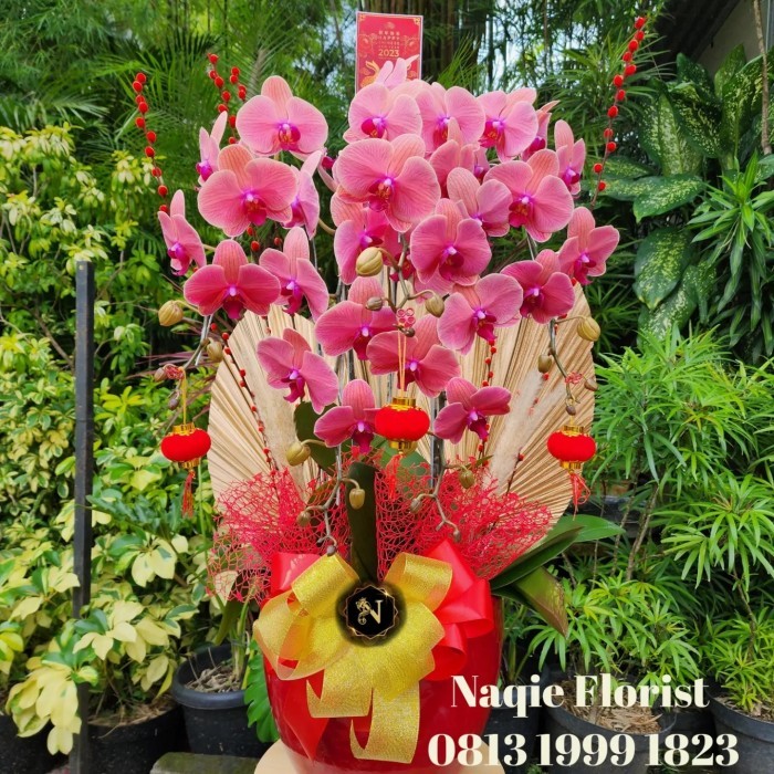 

hampers anggrek bulan/edisi imlek/chinnese new year/bunga anggrek