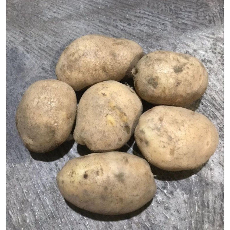 

kentang Segar Super istimewa dari petani 250gr