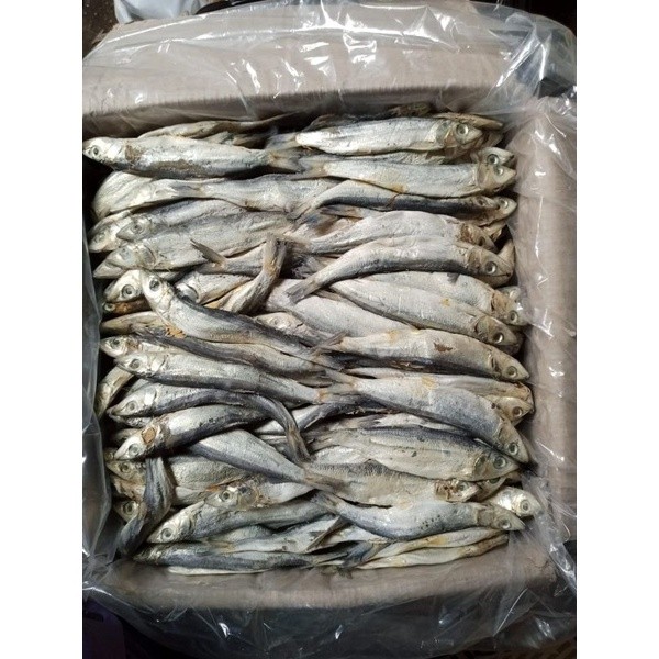 

TERMURAH ikan asin JAPUH GRAD A ; 100g/250g/500 gram best selerr