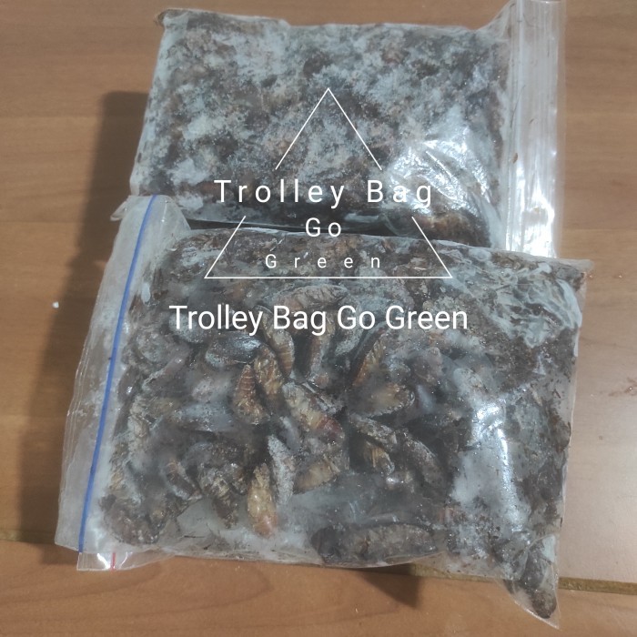 kecoa beku /kecoak beku/pakan arwana/pakan ikan predator - 200 gr no kaki