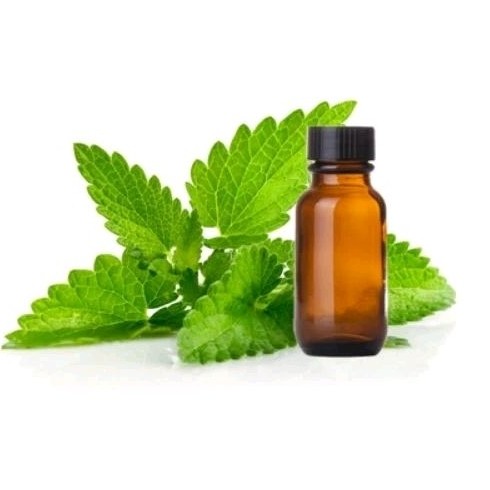 

Patchouli Essential Oil (100Ml) / EO Patchouli
