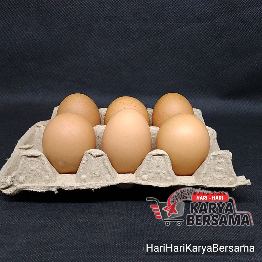 

TELUR AYAM ISI 6'S
