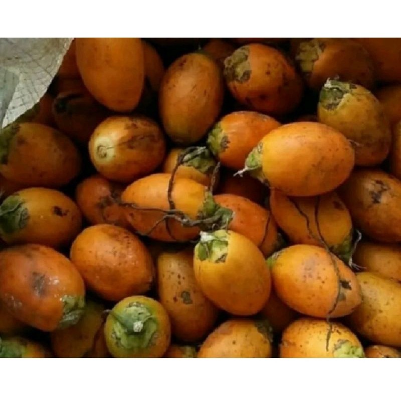 

Pinang tua asli 500 gram