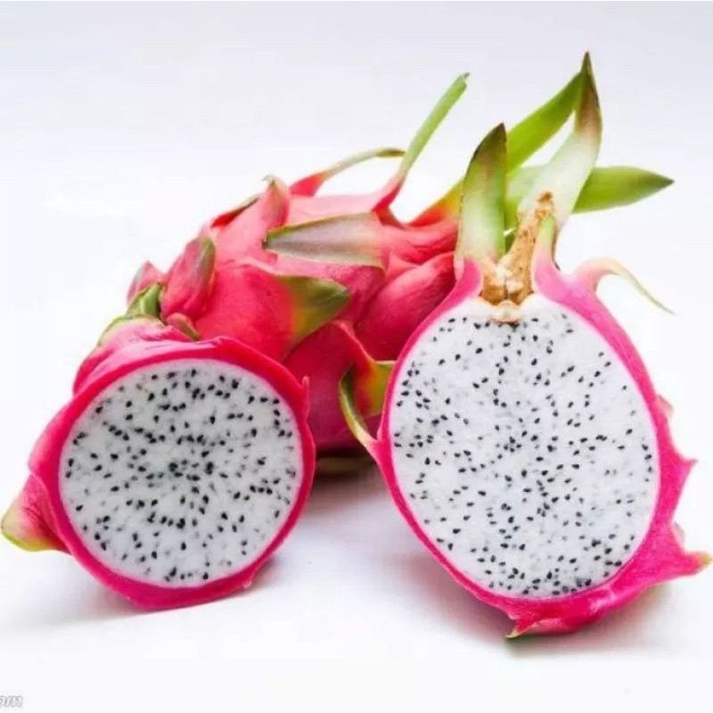 

SAVINA BUAH88 Buah Naga putih Dragon white super 1 kg