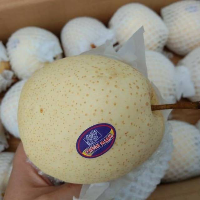 

UD BUAH 3 SAUDARA buah pir madu / sweet pear manis 1kg