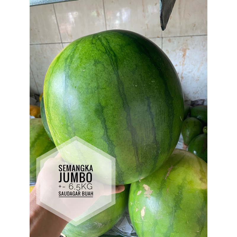 

UD BUAH 3 SAUDARA BUAH SEMANGKA NON BIJI JUMBO