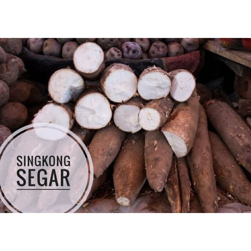 

UD BUAH 3 SMAUDARA singkong putih / ubi jalar