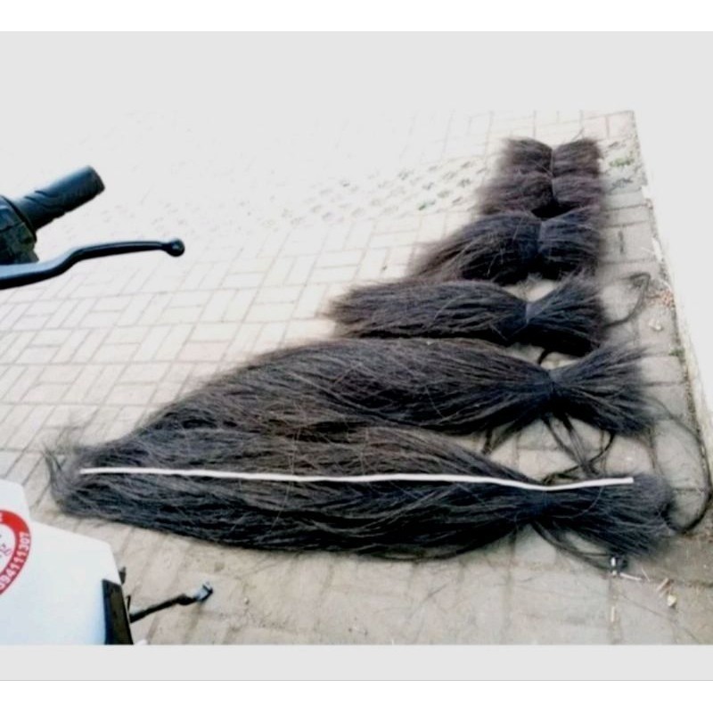 NEW... Ijuk aren super panjang /ijuk tebu cocok untuk kakaban/ijuk terlari/ijuk aren sisiran panjang