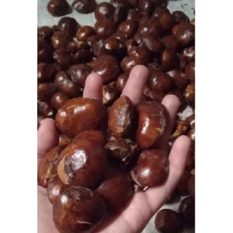 

jengkol/jering nama di desa buat lalap 500gram