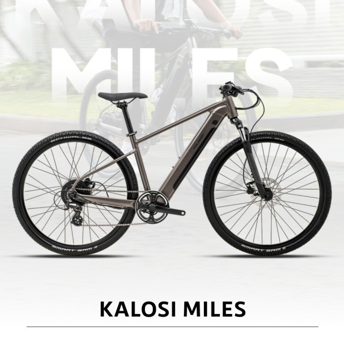 sepeda listrik polygon kalosi miles new - grey, S