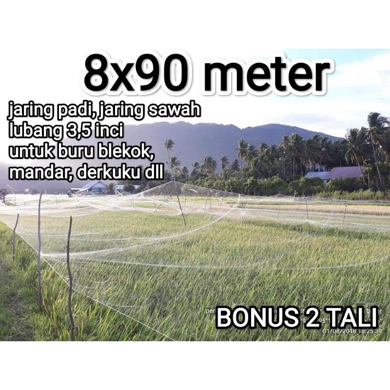 jaring burung, jaring padi, lubang 3,5 inci bonus 2 tali untuk burung besar seperti derkuku mandar d