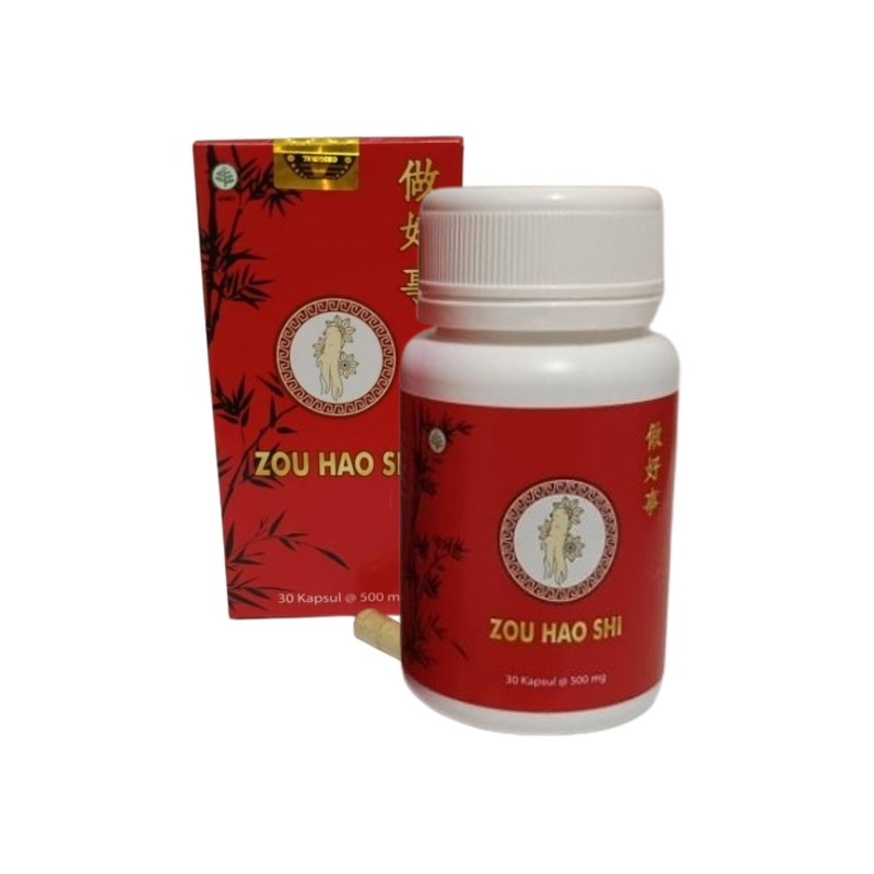 ZUO HAO SHI KAPSUL CINA - OBAT HERBAL ATASI NYERI SENDI TULANG