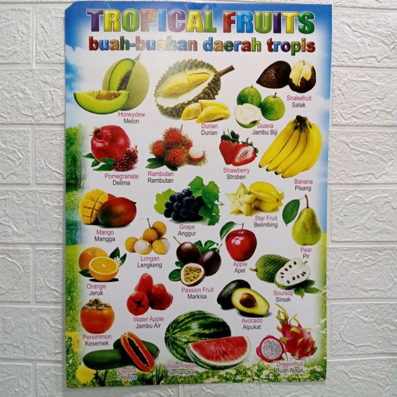 Poster hewan angka abjad / gambar hewan angka abjad perkalian