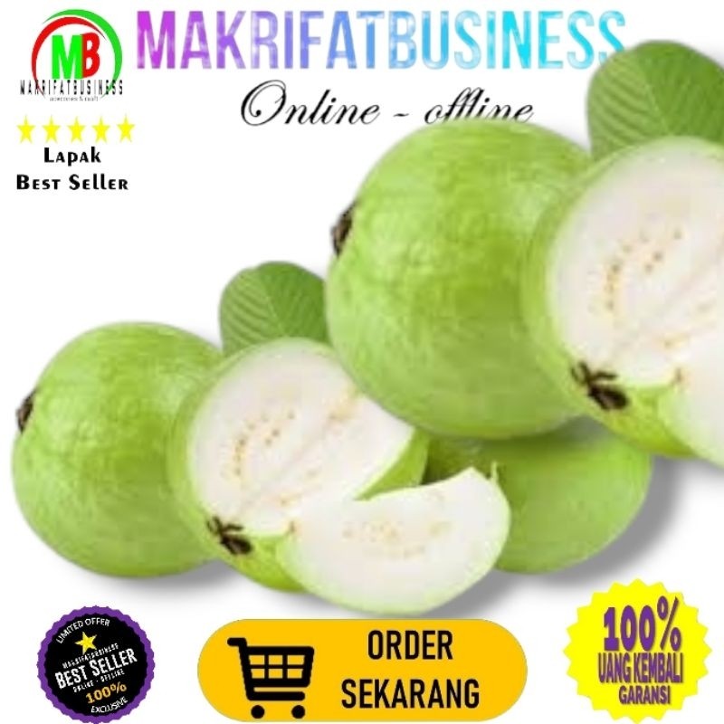 

MAKRIFATBUSINESS Paket 5 Kg Buah Segar JAMBU KRISTAL Non Biji Asli Semboro Jember