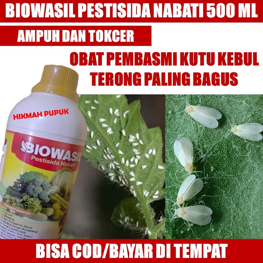 BIOWASIL PALING LARIS OBAT PEMBASMI KUTU KEBUL TERONG, CABAI, MELON, JERUK PALING AMPUH, Pestisida U