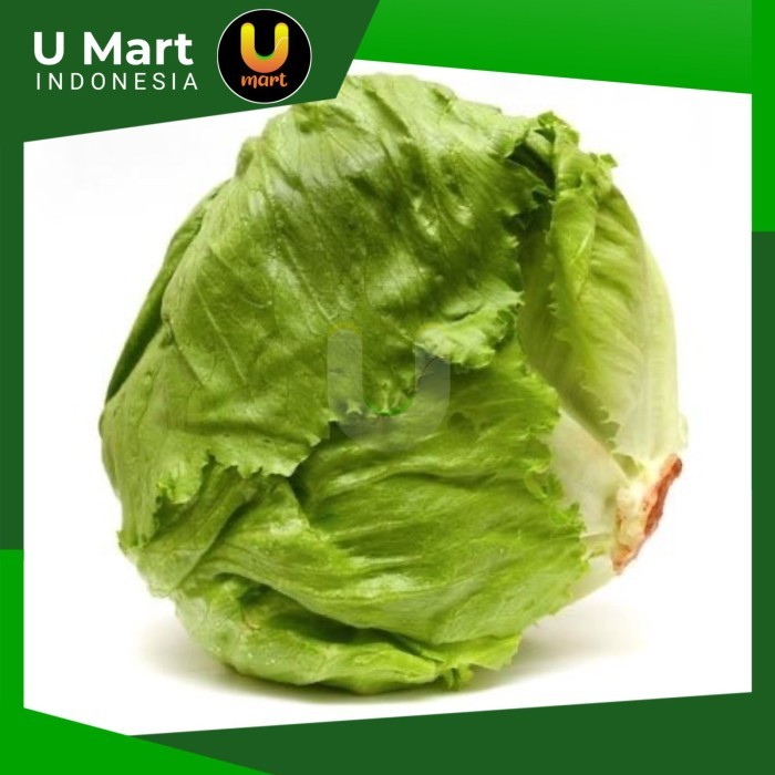 

U Mart - Head Lettuce 500 gram Selada Kebab
