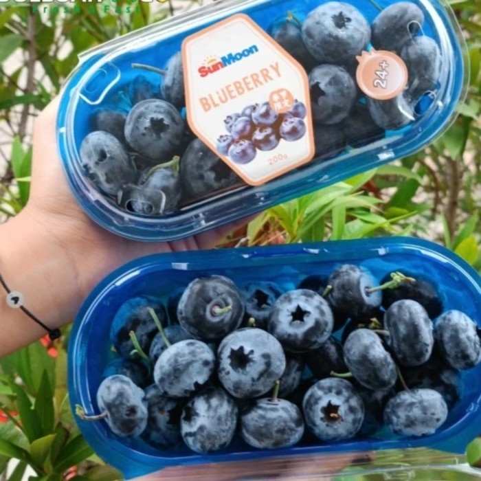 

Blueberry Super jumbo manis Crunchy 200 gr size 24-+