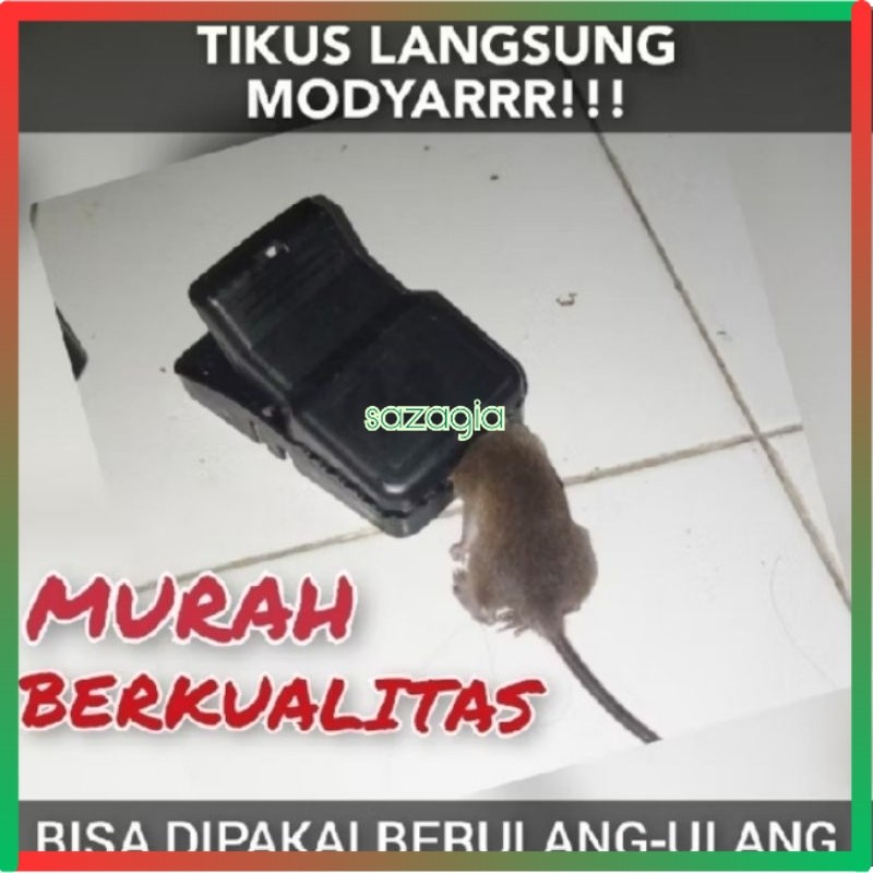 (SG) Perangkap Jebakan Ranjau Original Tikus Tomi Lebih Bagus Dari Jonicat