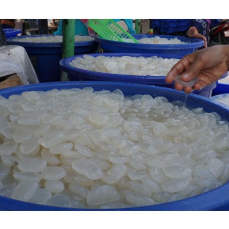 

Kolang kaling mentah 200 gram murah