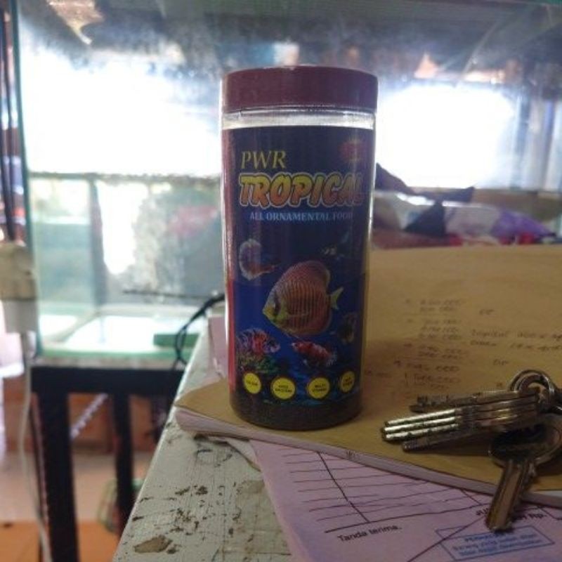 

MIDIJAYA tropical pwr