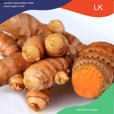 

Promo COD Temu lawak segar 1 kg - temulawak fresh